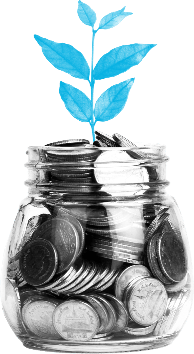 A growing plant symbolising a repayment strategy