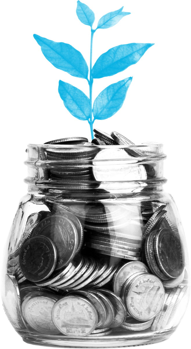 A growing plant symbolising a repayment strategy